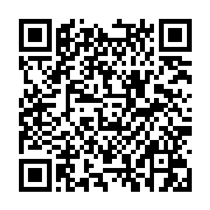 跑得最快的就是玄仙门的安守臣和一干师兄弟姐妹二维码生成