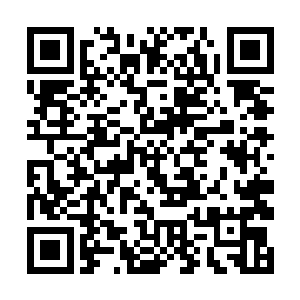 距离上一次他踏足这个秘密机房已经过去了这么多年二维码生成