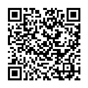 距离蒋百里调整作战部署仅仅过去了半个小时的时间二维码生成