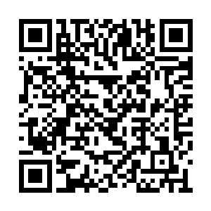 跟他们说你弟弟是无辜的……保全你弟弟和弟媳二维码生成