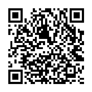 跟在他身边的是他的心腹哼哈二将和一群秦洛不熟悉的公子哥二维码生成