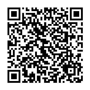 跟在孟优身后的几员蛮荒将领倒并不是很喜欢司马恂一副眼高过顶的态度二维码生成