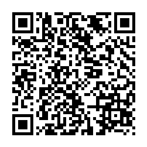 跟在左立后面的洪亚伦看到前面的德国大众就要经过一个岔路口时二维码生成