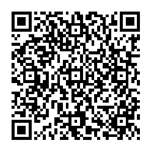 跟大师级已经存在着相当大的差距了……基本上宗师级以下的高手已经不可能威胁到他了二维码生成