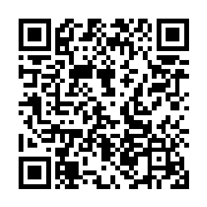 跟着燕离往后院走去的容锦自是没有听到琳琅的这番话二维码生成