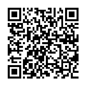 踩着厚厚的地毯慌不择路地朝着刚才的路线重新跑回了卫生间二维码生成