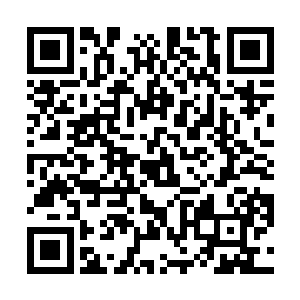 蹦迪用的迪斯科舞曲显得无法满足这群白领的精神需求二维码生成