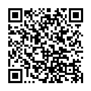 身上也是涌起了一股同样可怕至极的气势……手腕这么一震二维码生成