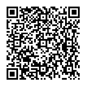 身上刚长出来那点肉又再次瘦没的众人终于裂开嘴巴露出了很久以来最敞开最开心的笑容二维码生成