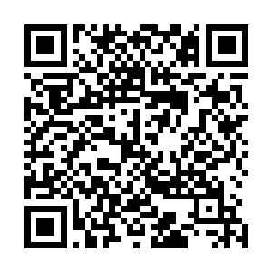 身上寄生着元始族的这头虚空猎手曾经穿梭过无数洞天福地二维码生成