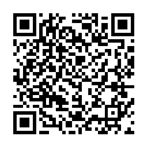 身上的另一个显著的标志就是在领口集团别着一枚白狼徽章二维码生成