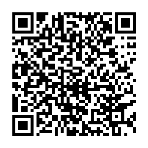 身为船长的芬奇・戈尔达出了口气之后笑了笑反而是称赞了贝海一句二维码生成