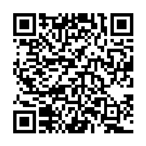 身后扇动着一堆无比妖艳的赤红色的半透明的翅膀的生灵二维码生成