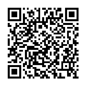 身穿着战甲身披战袍俨然一副要上阵打仗的模样二维码生成