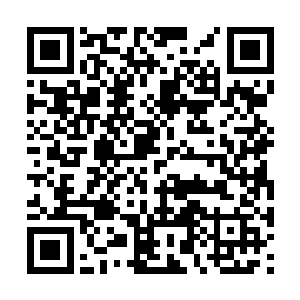 轩老诧异回过头看着流墨墨二人的身影走出任务殿二维码生成