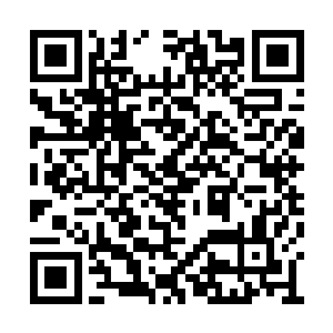 轮回之城此刻随着我的意念化作了一口锋芒长剑二维码生成