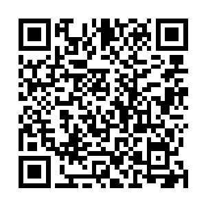 轻寒将托盘上的糕点和果脯都端起放在晏锦身前的小桌上二维码生成