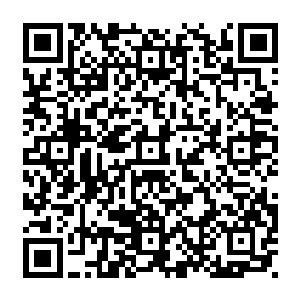轻易懈不得…………现在算是敷衍了过去…………又有什么倒霉事情落在了我头上二维码生成