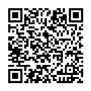 轻轻的用手刨了一下把沙滩表面带着温渡的沙子掠去二维码生成