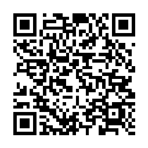 轻风剑毫无反抗的被这一掌拍的向旁边飞去了十余米的距离二维码生成