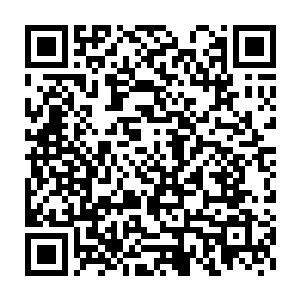 轼疏那帮人不就是一声不响地在背后发动了席卷整个沙漠的战争吗二维码生成