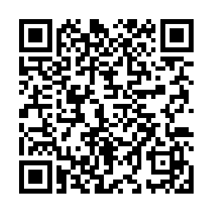 输家将要在学校广播上面朗诵一篇由赢家撰写的道歉稿二维码生成