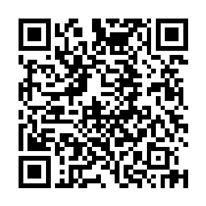 辛教士想不明白大人为何此时会忽然问出这样一个问题二维码生成