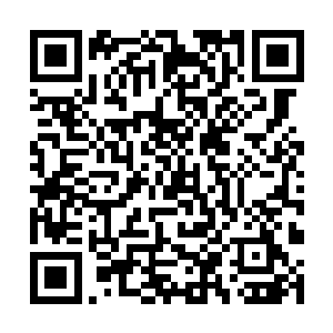 辣椒打算在新建的辣椒书友群里偶尔发一些番外感恩二维码生成