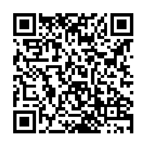 边上有几个看上去没有死去多久的天狼帮的人的尸体二维码生成