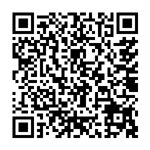 边学道三两下就把欺负蒋楠楠的杨姓男老师和高高在上的副校长双双送进监狱二维码生成