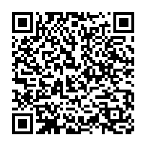 迅速淹过他们脚面的金色血液和与其泾渭分明并不相融的透明体液中二维码生成