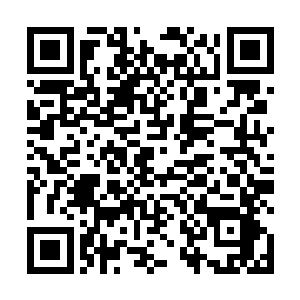 过了很久才发现那个护卫已经靠在一棵树上站着睡着了二维码生成