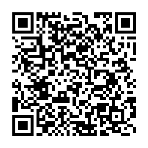 过去看看苏子和嘉宝这段时间是他来到燕京之后过的最悠闲的生活二维码生成