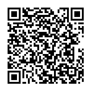 近乎狂妄的叫嚣的敌人已经在簌簌下落的土石如雨中离他越来越近二维码生成