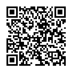 近期会抽出时间确定一个时间来和兄弟姐妹们互动二维码生成