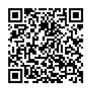 近来天命公会不遗余力的在搜捕血杀组织潜藏在丰城的强大力量二维码生成