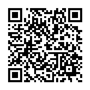 返回第一页开始正式学习记忆这些一阶基础法阵二维码生成