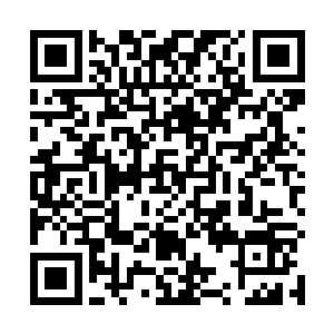 返魂树幼苗的栽种不但需要我枫族萨玛的特殊培育方法二维码生成