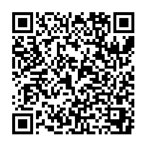 还一手捏造证据妄图包庇这些人……首辅连个分辩的机会都没给张陵二维码生成