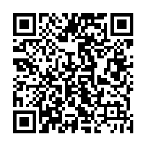还不如以此警戒总是躲在角落里耍着各种小手段的臭虫们二维码生成
