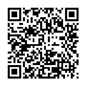 还不等她准备继续从小乾坤袋中取出另外一件法宝二维码生成