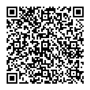 还压根就不是一个阵营的……如果这个杨少那个任职京城某区警察分局局长的老子有资格上那样的台盘的话二维码生成