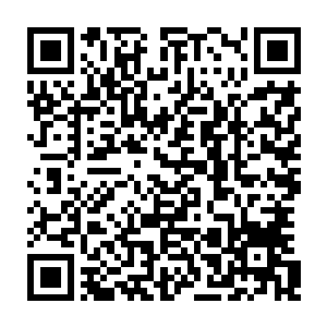还将石梁的一条胳膊给废掉了……另外一只紫金锤也是咣当一声坠落在地上了二维码生成