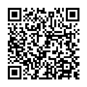 还差一级就传奇了……要不是我顾忌情绪之力的污染二维码生成