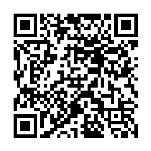 还带着侄儿和丈夫的弟子……是不是有点别的什么意思二维码生成