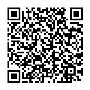 还把自己在下面市县里搞的那些大棚种植和生态种养的方法传授给爷爷二维码生成