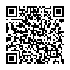 还是不想承认你和冰清玉洁已经没有任何关系了二维码生成