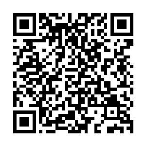 还是从海君的额头中央居然生长出来了一根奇长无比的骨质刺杆二维码生成