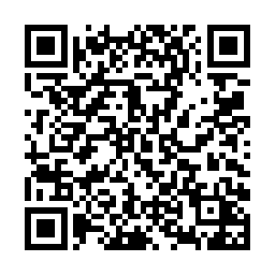 还是出现了一双巨大的用纯粹的灵气制造出来的战锤二维码生成