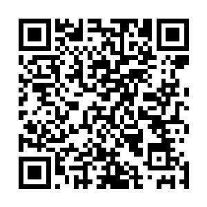 还是去百货商店里买一些普通的大针或者长钉比较物美价廉二维码生成